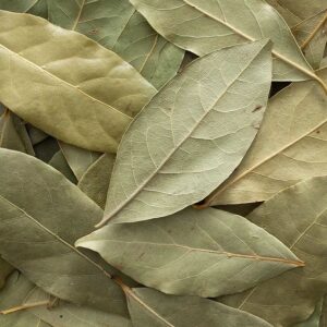 Bayleaf